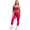 Gymreapers Seamless Sports Bra for Women – Wireless Compression Padded Supportive Bras for Gym, Yoga, & Fitness(Miami)